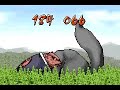 Naruto Ninja Council 2 Minigame