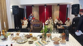 חוגגים מימונה בשידור חי