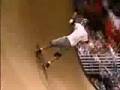 Bob Burnquist's best run