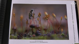 Кращі світлини “Вернісажу на Покрову-2019” — у Хмельницькому