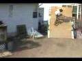 Backyard BMX Kick ass quarter pipes