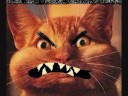 the song internet is for porn whit some cats homemade