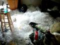 Maisha ya Masomo 06 - College Prank 01
