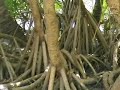 Malediven /Part2/ Velidhu Island / Ari Atoll / Holyday 2006