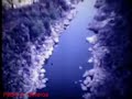 Río Alagón antes de quedar embalsado Río Alagón antes de quedar embalsado