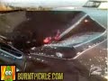 Dead Whale + Dynamite = Bad Idea