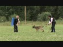 Training Pege at age of 20 months