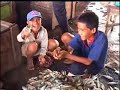 Boat Boys, Fish Mongers of Makassar Boat Boys, Fish Mongers of Makassar