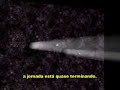 Como funciona a Internet e seus equipamentos - Parte 2 Como funciona a Internet e seus equipamentos - Parte 2
