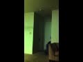 The black ninja
