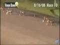 2008 World Trotting Derby preview