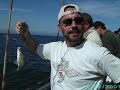 Deep Sea Fishing
