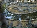 Crocodile park in India
