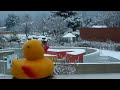 Nanard le Canard épisode 03