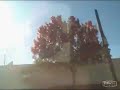 Fall Drive-By  Nov 25 2008 - VID00052