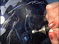 Glass  Engraving - Bowl of Fish - by Lesley Pyke
