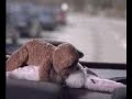 Funny Clip