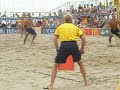 AVP volleyball watchfogel-wong aug2007 brooklyn open