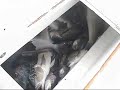 NC Charter Boat Poacher-Amberjacks Topwater