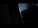 \"Turn to Penn State Behrend\" TV Spot