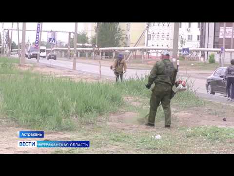 Просмотр видео Просмотр видео