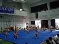 olson cheer