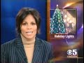 christmas lights pros