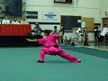 Panams Wushu 2006