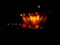 18 Novembre 2008 - Children of Bodom 01