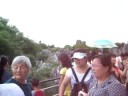 Stone Forest