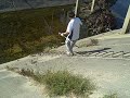 tommy short knocker 7