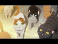 Nyan Koi! episode 9 Eng (1 3)