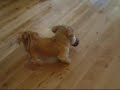 Fudge. The legend that is