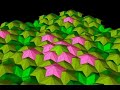 Quasicrystal Quasicrystal