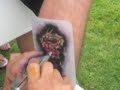 tat4u.m4v