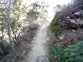Mt Zion Trail - 
