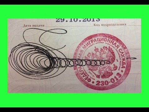 Роспись птичка на паспорт Роспись птичка на паспорт