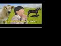 Super slow beef n go like 2 minutes long!! Super slow beef n go like 2 minutes long!!