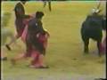 videos de Cornada!