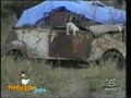 Прикольные коты