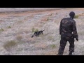 Özel Harekatın Sığınak Köpekleri  