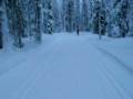 Cross country skiing in Ylläs 2005