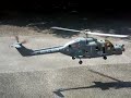 VARIO LYNX ELECTRIC !