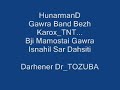 Kurdish Music