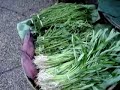 From the Farm to the Green Market