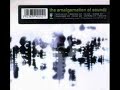 The Amalgamation of Soundz  1997