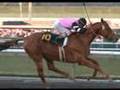 Affirmed: 1978 triple crown winner