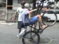 videos de Grau