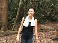 Gunung Ledang (Mt Ophir): Preview