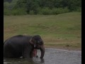 \"Kaandha Thaamasam Ethaho\" Stauros \"Kaandha Thaamasam Ethaho\" Stauros